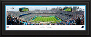 Carolina Panthers Bank of America Stadium 50 Yard Line Panoramic Picture