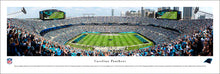 Carolina Panthers Bank of America Stadium 50 Yard Line Panoramic Picture