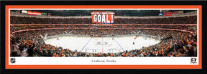 Anaheim Ducks Honda Center Panoramic Picture