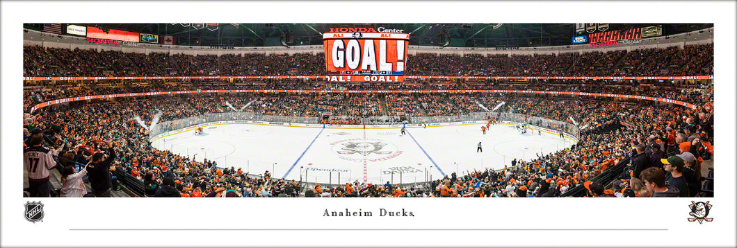 Anaheim Ducks Honda Center Panoramic Picture