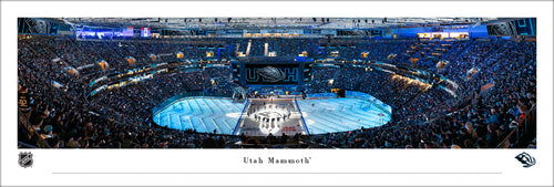 Utah Mammoth Stick Salute Delta Center Panoramic Picture