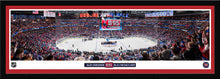 Alex Ovechkin Washington Capitals NHL Goals Record Ceremony Panoramic Picture 