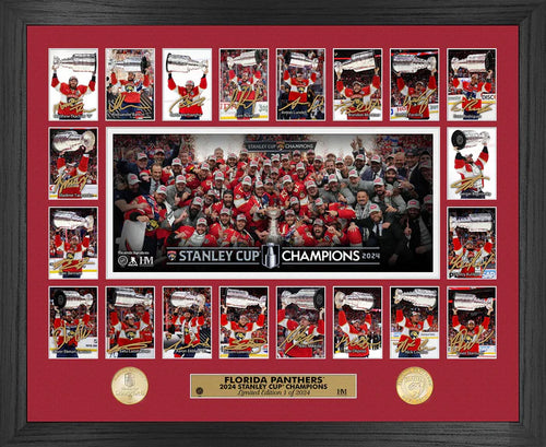 Florida Panthers 2024 Stanley Cup Champions Memorable Moments Bronze Coin Photo Mint