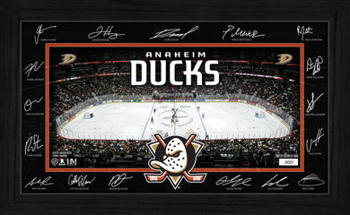 Anaheim Ducks 2025 Signature Rink