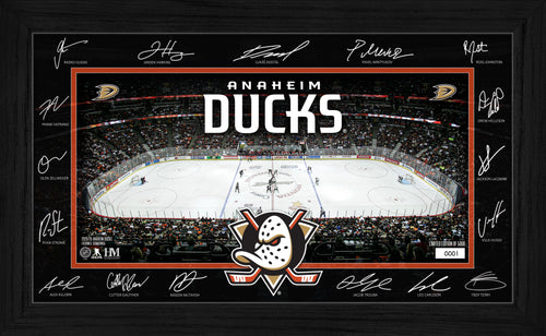 Anaheim Ducks 2025 Signature Rink