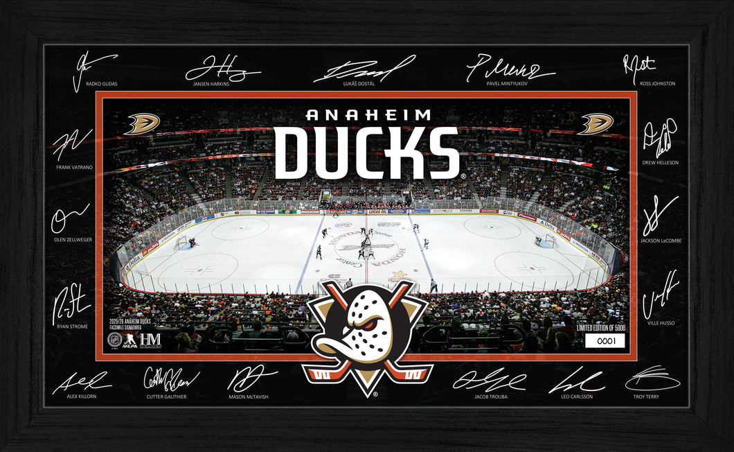 Anaheim Ducks 2025 Signature Rink