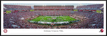 Alabama Crimson Tide Bryant Denny Marching Band Panoramic Picture