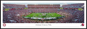 Alabama Crimson Tide Bryant Denny Marching Band Panoramic Picture