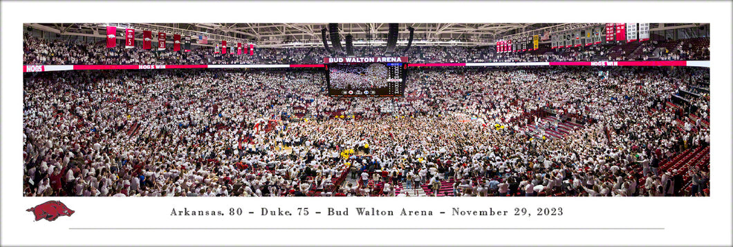 Arkansas Razorbacks Basketball Storm The Court Panoramic Picture