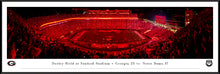 Georgia Bulldogs Football Red Lights at Sanford Stadium Panoramic Picture