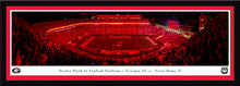 Georgia Bulldogs Football Red Lights at Sanford Stadium Panoramic Picture