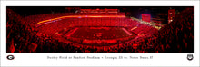 Georgia Bulldogs Football Red Lights at Sanford Stadium Panoramic Picture