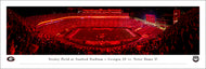 Georgia Bulldogs Football Red Lights at Sanford Stadium Panoramic Picture