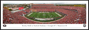 Georgia Bulldogs Sanford Stadium Football Panoramic Picture