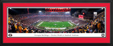 Georgia Bulldogs Sanford Stadium Football Panoramic Picture Night Game