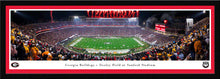 Georgia Bulldogs Sanford Stadium Football Panoramic Picture Night Game