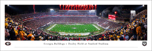 Georgia Bulldogs Sanford Stadium Football Panoramic Picture Night Game