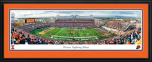 Illinois Fighting Illini Football Memorial Stadium Panoramic Picture