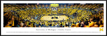 Michigan Wolverines Basketball Crisler Center Panoramic Picture