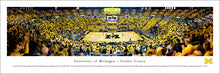 Michigan Wolverines Basketball Crisler Center Panoramic Picture