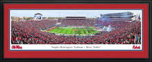 Ole Miss Rebels Football Vaught-Hemingway Stadium 50 Yard Line Panoramic Picture