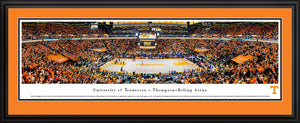 Tennessee Volunteers Basketball Thompson-Boling Arena Panoramic Picture