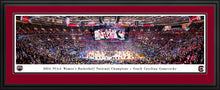 South Carolina Gamecocks 2024 NCAA Women's Basketball National Champions Panoramic Picture