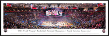 South Carolina Gamecocks 2024 NCAA Women's Basketball National Champions Panoramic Picture
