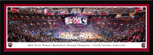 South Carolina Gamecocks 2024 NCAA Women's Basketball National Champions Panoramic Picture