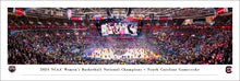 South Carolina Gamecocks 2024 NCAA Women's Basketball National Champions Panoramic Picture