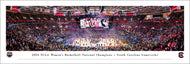 South Carolina Gamecocks 2024 NCAA Women's Basketball National Champions Panoramic Picture