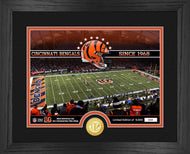 Cincinnati Bengals Stadium Bronze Coin Photo Mint