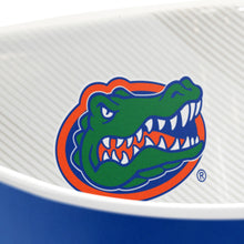 Florida Gators Large Party Bowl