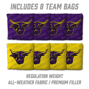 Minnesota State Mavericks 2'x4' Cornhole Game with Bags
