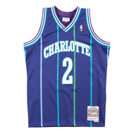 Larry Johnson Charlotte Hornets Mitchell & Ness 1994/95 Hardwood Classics Swingman Jersey