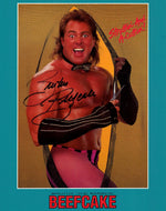 brutus the barber beefcake, wwe, wwf wcw, nwa tna, awa
