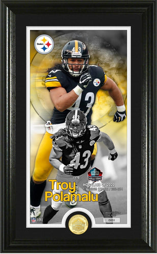 Troy Polamalu Pittsburgh Steelers HOF Supreme Bronze Coin Photo Mint