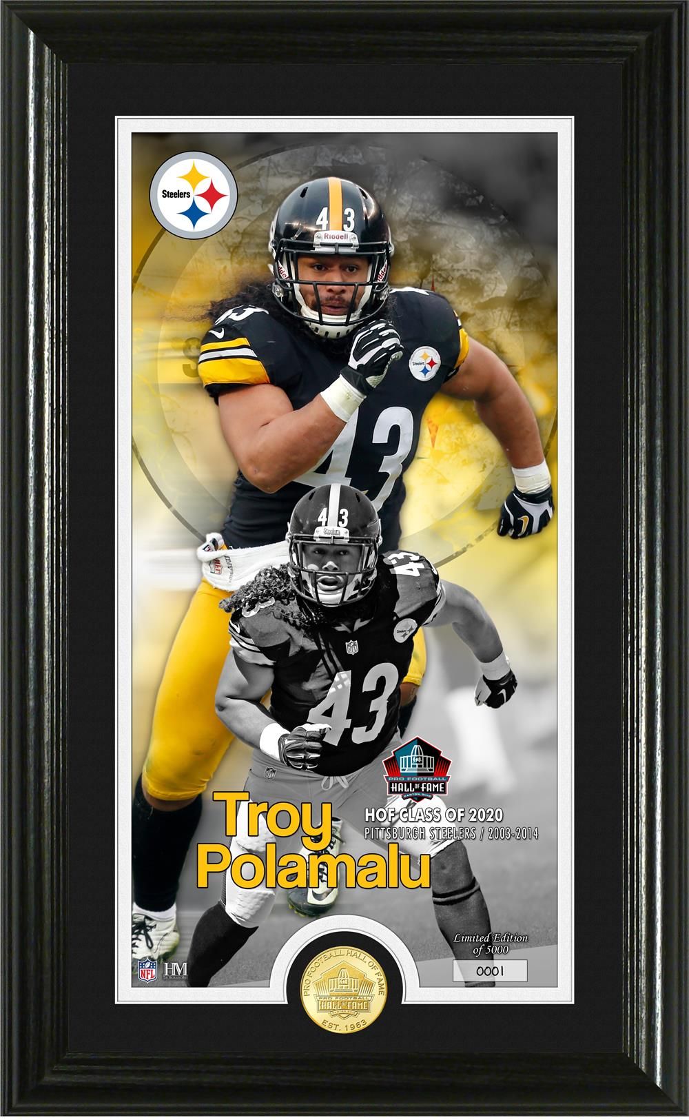 Troy Polamalu Pittsburgh Steelers HOF Supreme Bronze Coin Photo Mint