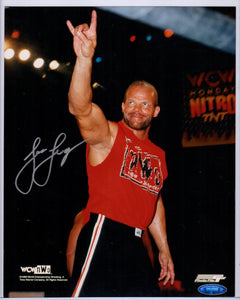 the total package lex luger