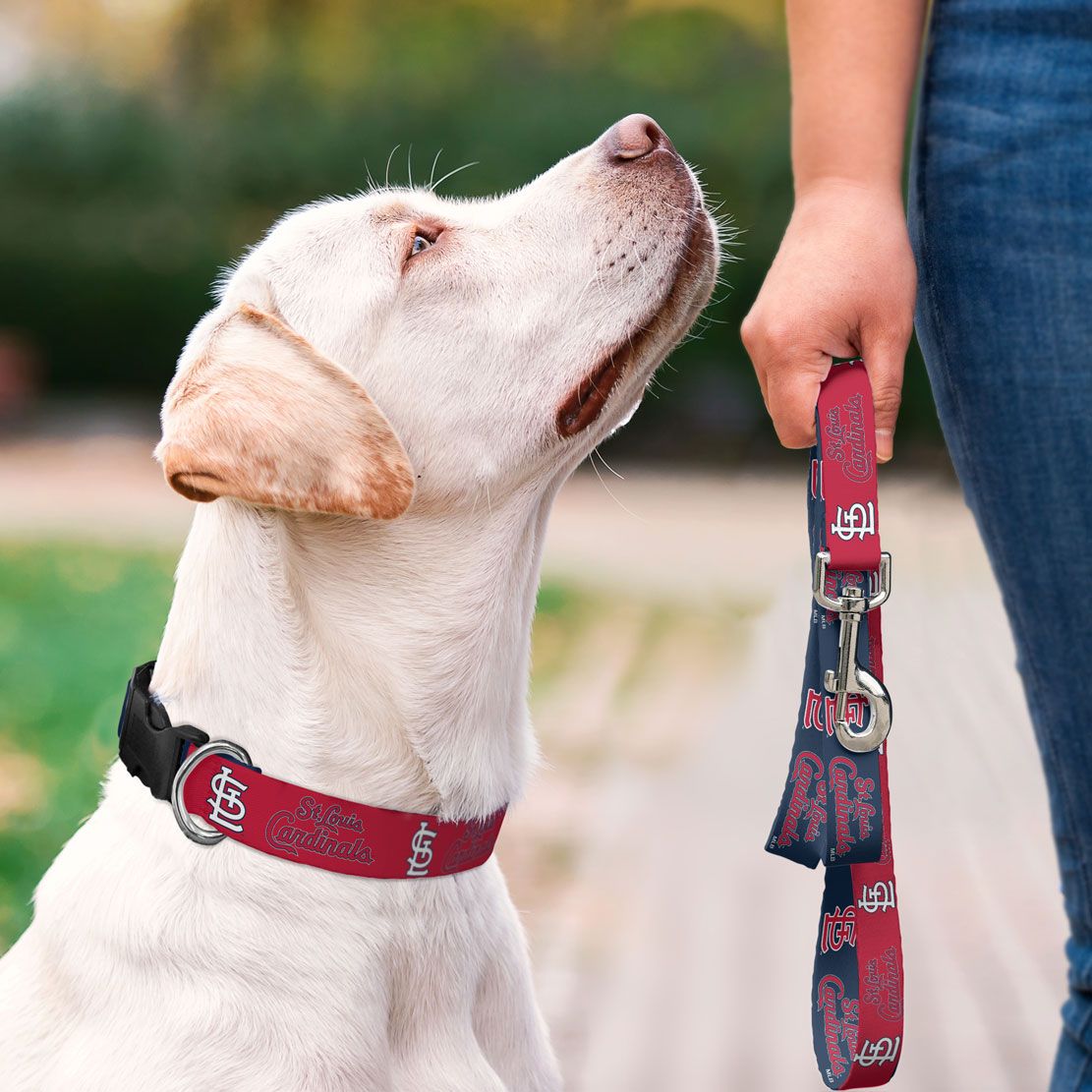 Atlanta Braves Dog Collar or Leash