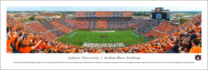 Auburn Tigers Football Jordan-Hare Stadium Panoramic Picture