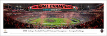 Georgia Bulldogs 2022 CFP National Champions Panoramic Picture