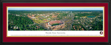 Florida State Seminoles Doak Campbell Stadium Aerial Panoramic Picture