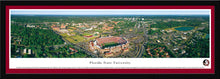 Florida State Seminoles Doak Campbell Stadium Aerial Panoramic Picture