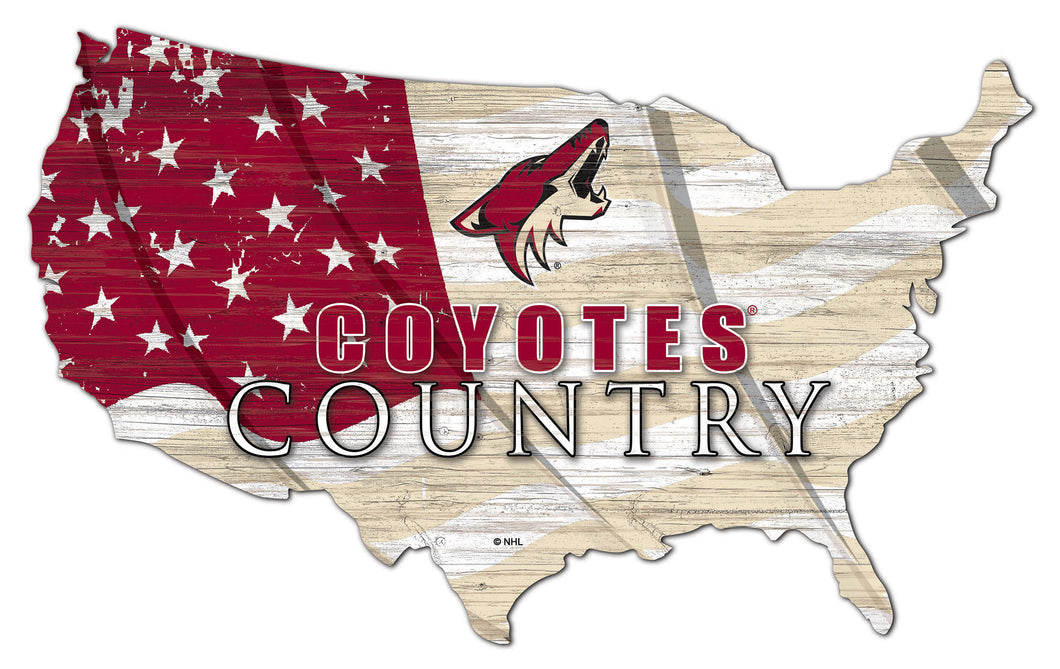 Arizona Coyotes USA Shape Flag Cutout