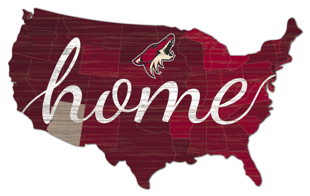 Arizona Coyotes USA Shape Home Cutout