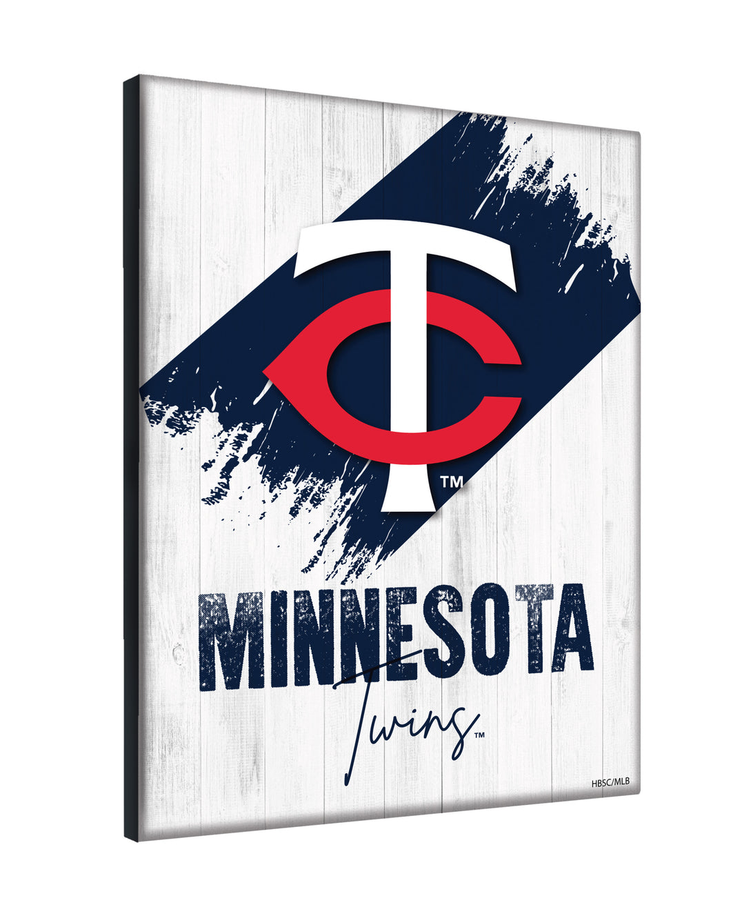 Minnesota Twins Wordmark Canvas Wall Art - 15