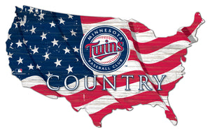 Minnesota Twins USA Shape Wood Sign