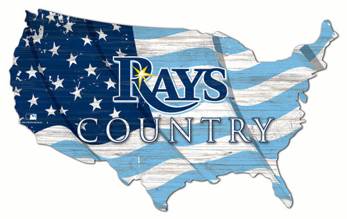 Tampa Bay Rays USA Shape Wood Sign