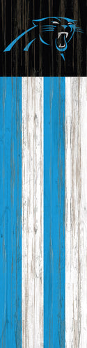 Carolina Panthers Flag Door Leaner
